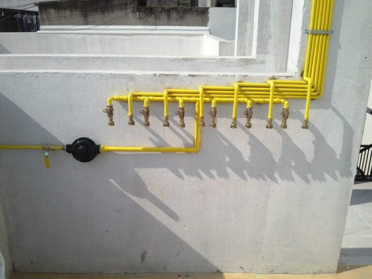 WhatsApp Image 2025-06-18 at 1.59.13 p.m.